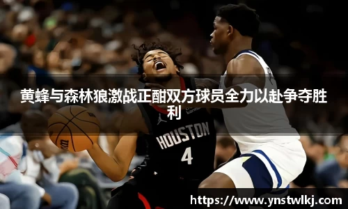 金年会黄蜂与森林狼激战正酣双方球员全力以赴争夺胜利